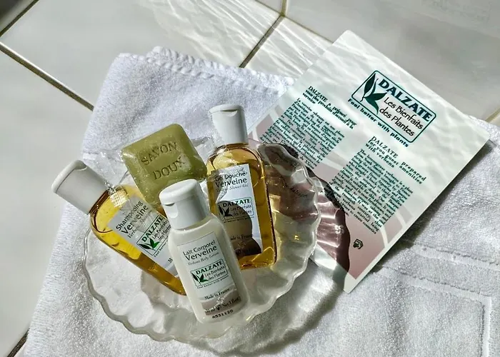 فندق Chateau D'urtubie 3*